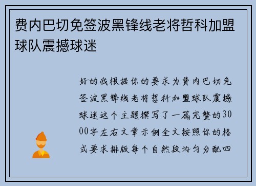 费内巴切免签波黑锋线老将哲科加盟球队震撼球迷 费内巴切免签波黑锋线老将哲科加盟球队震撼球迷